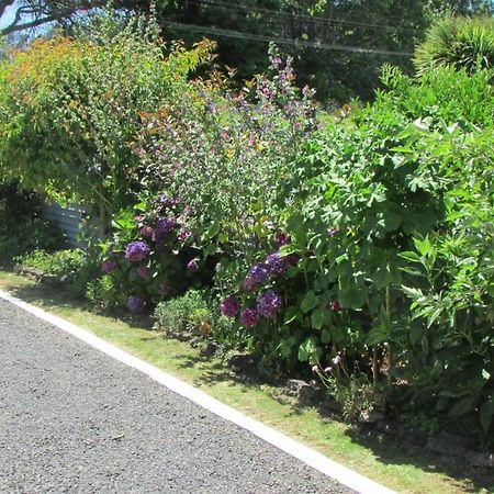 Cozy Haven - Waihi Exterior foto