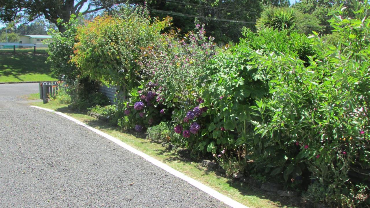 Cozy Haven - Waihi Exterior foto