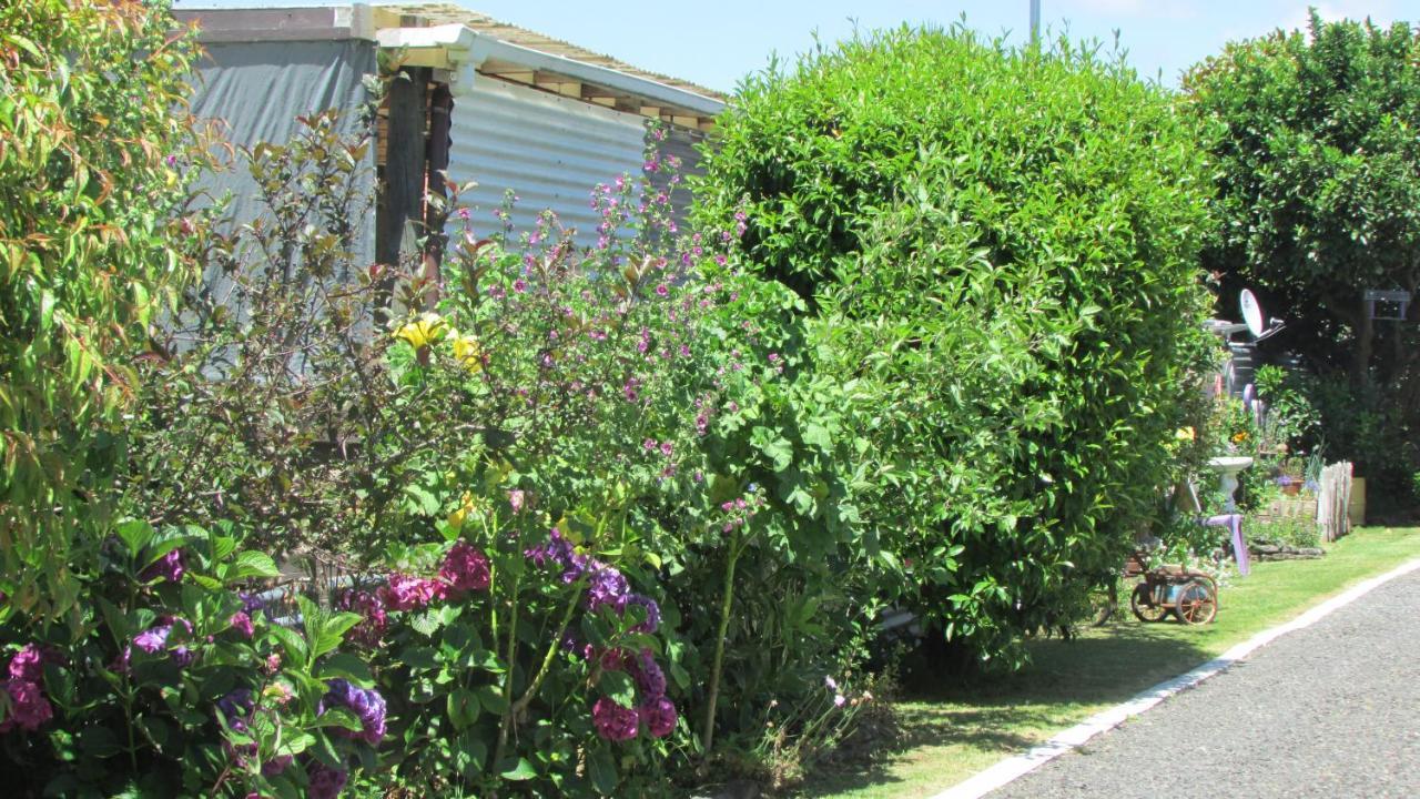 Cozy Haven - Waihi Exterior foto